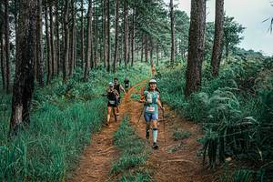 BIB: 
                            <button type="button" onclick="openModal(25708937)" class="btn btn-primary btn-sm float-right btn-popup" data-toggle="modal" data-target=".modal-high-quality">
                        <i class="fas fa-shopping-cart"></i> Add to Cart
                    </button>
                                            <button type="button" onclick="isThisMe(25708937, true)" class="btn btn-success btn-sm float-right btn-popup btn-isme hidden" data-toggle="tooltip" data-placement="bottom" title="นี่คือรูปของคุณใช่ไหม คลิกที่นี่เพื่อเอาเข้าอัลบั้ม">
                        <i class="fas fa-plus"></i> Add to album
                    </button>
                    <button type="button" onclick="isThisMe(25708937, false)" class="btn btn-warning btn-sm float-right btn-popup btn-isnotme hidden">
                        <i class="fas fa-ban"></i> Remove from album
                    </button>